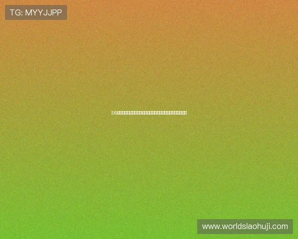 bb电子在线全面解读世界杯热门球队战术布局与关键球员表现分析